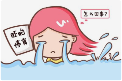 好好的胚胎怎么就停育了呢？