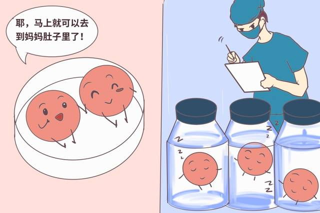 哪些胚胎可用于移植？了解下！