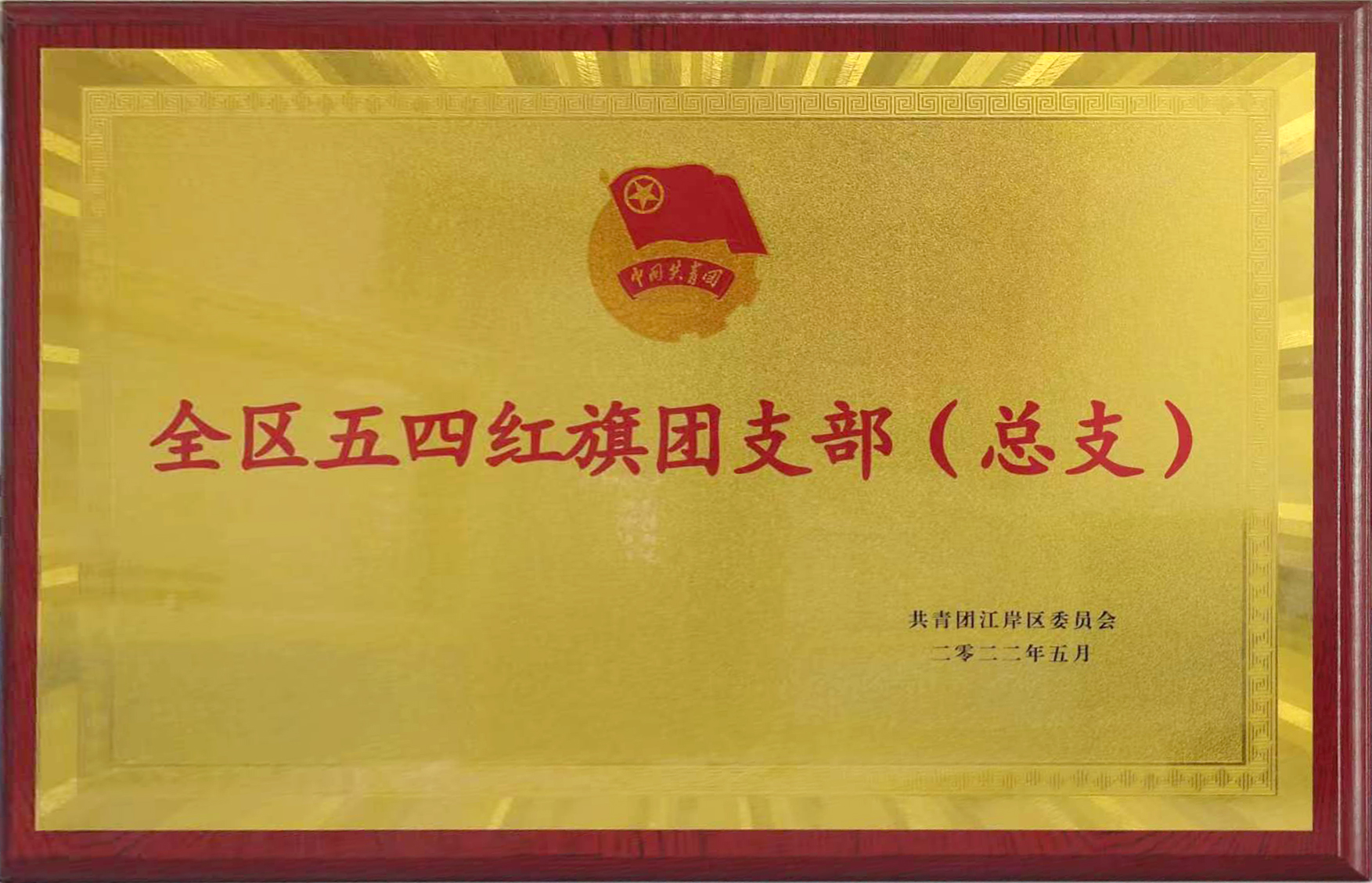 共青團(tuán)成立100周年之際，東信醫(yī)藥團(tuán)支部喜獲武漢市江岸區(qū)“全區(qū)五...