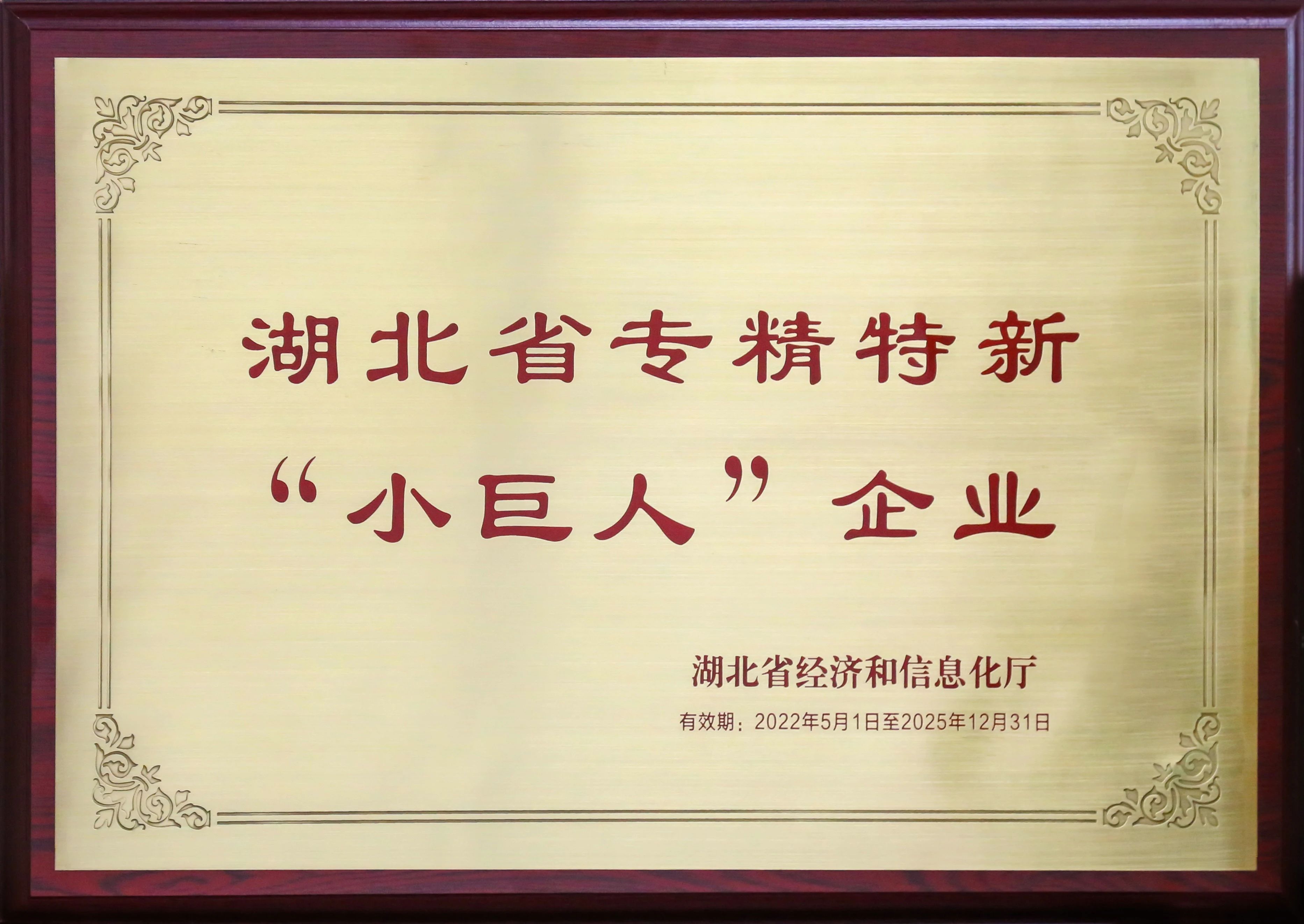 盤(pán)點(diǎn)新疆26省聯(lián)盟集采，湖北東信擬中選（婦科）品種數(shù)量名列榜首